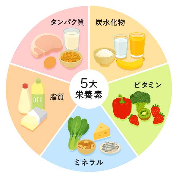 5大栄養素