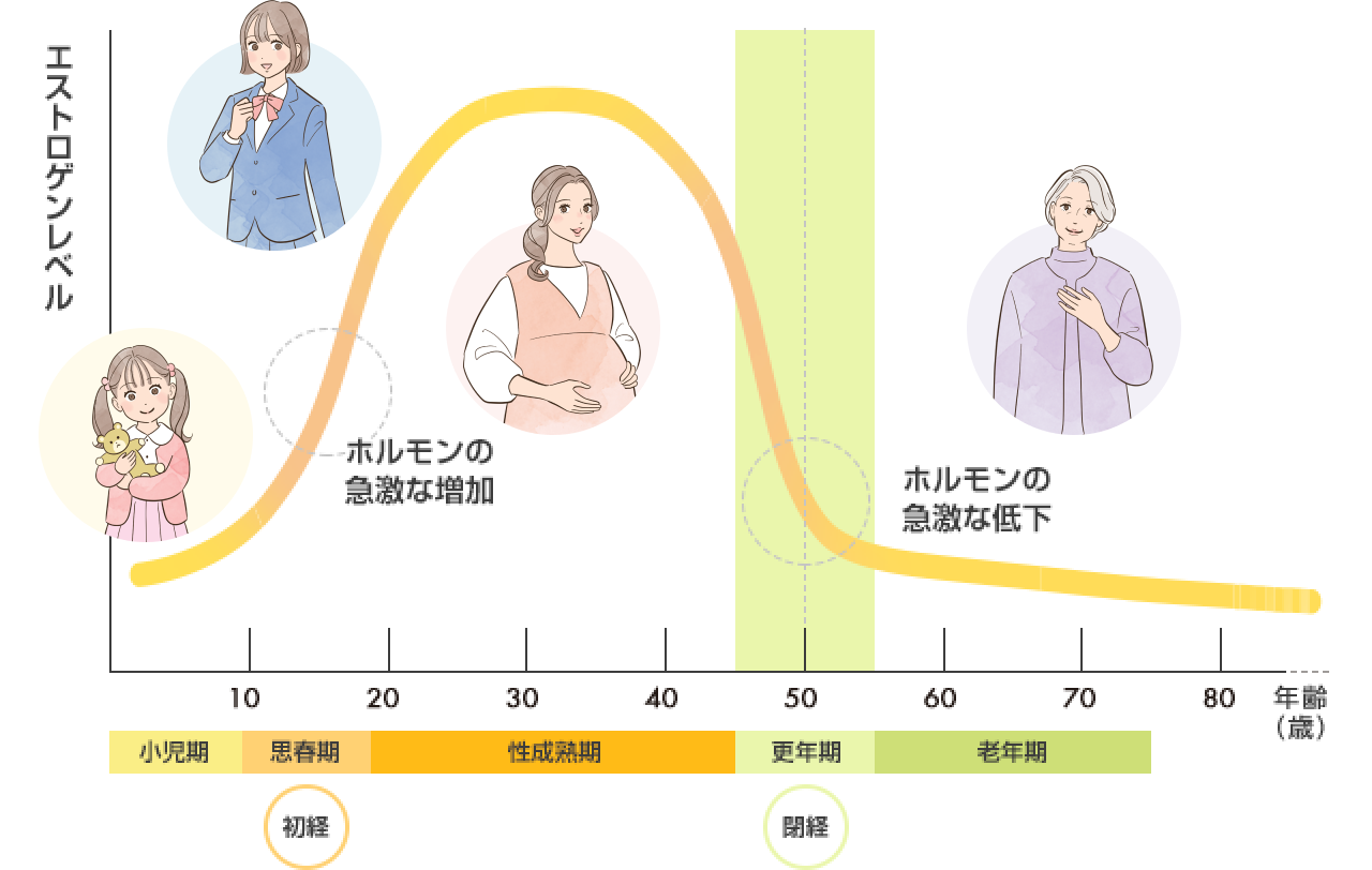 女性のライフステージとエストロゲンレベル