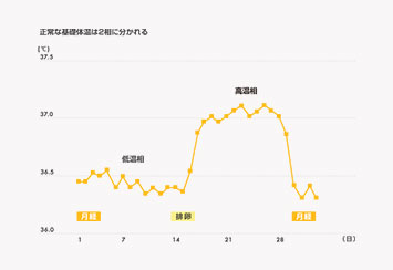 正常な基礎体温は2相に分かれる