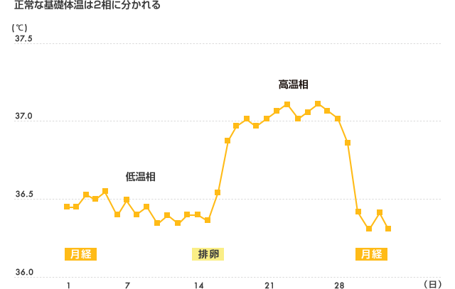 正常な基礎体温は2相に分かれる