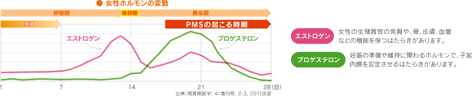 エストロゲン:女性の生殖器官の発育や、骨、皮膚、血管などの機能を保つはたらきがあります。プロゲステロン:妊娠の準備や維持に関わるホルモンで、子宮内膜を安定させるはたらきがあります。