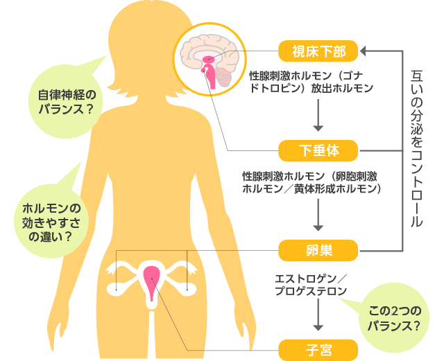 女性ホルモン分泌の仕組みとPMSの原因