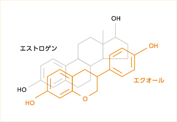 エクオールエストロゲン構造式