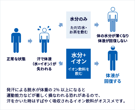 発汗による脱水が体重の2%以上になると運動能力などが著しく損なわれる恐れがあるので、汗をかいた時は体液に近いイオンが含まれた飲料がオススメです。