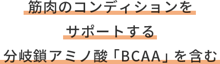 筋肉のコンディションをサポートする分岐鎖アミノ酸「BCAA」を含む