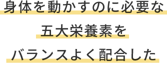 身体を動かすのに必要な五大栄養素をバランスよく配合した