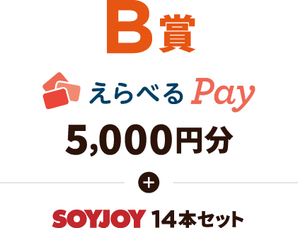 B賞 えらべるPay 5000円分 ＋ SOYJOY 14本セット 50名様