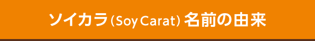 ソイカラ（SoyCarat）名前の由来