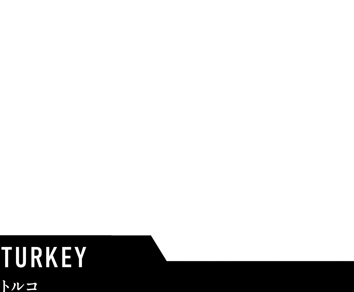 TURKYトルコ
