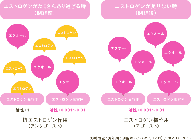 野崎雅裕：更年期と加齢のヘルスケア, 12(1), 128-132, 2013