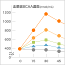 BCAA摂取のポイント イメージ