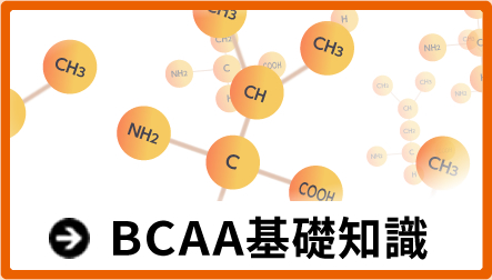 BCAA基礎知識（SP）