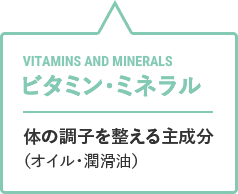 ビタミン・ミネラル：身体の調子を整える主成分（オイル・潤滑油）