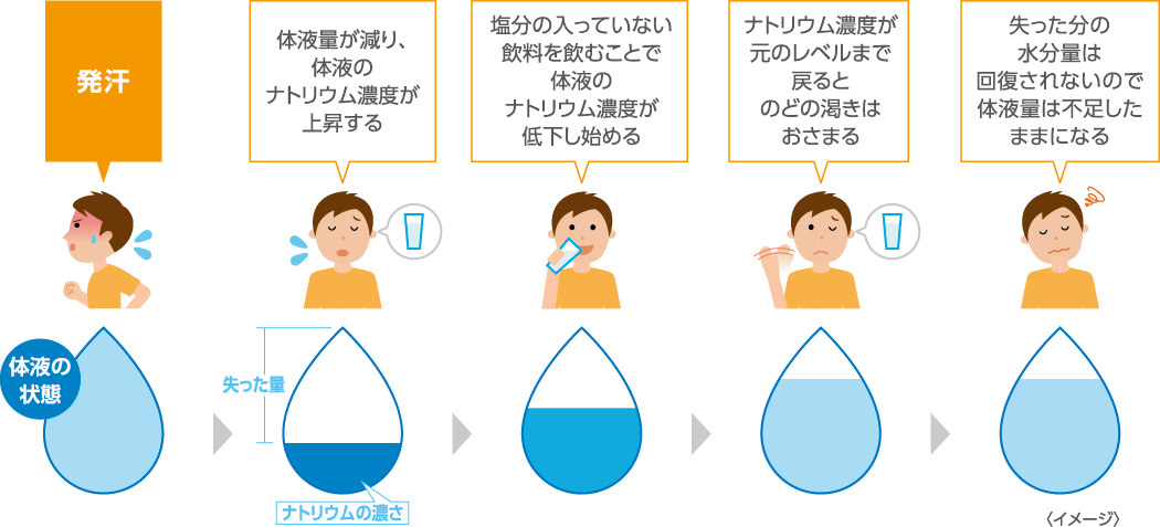 脱水時は、水分とともに適量の塩分をとることが重要です！