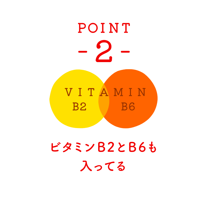 POINT 2 ビタミンB2とB6も入ってる